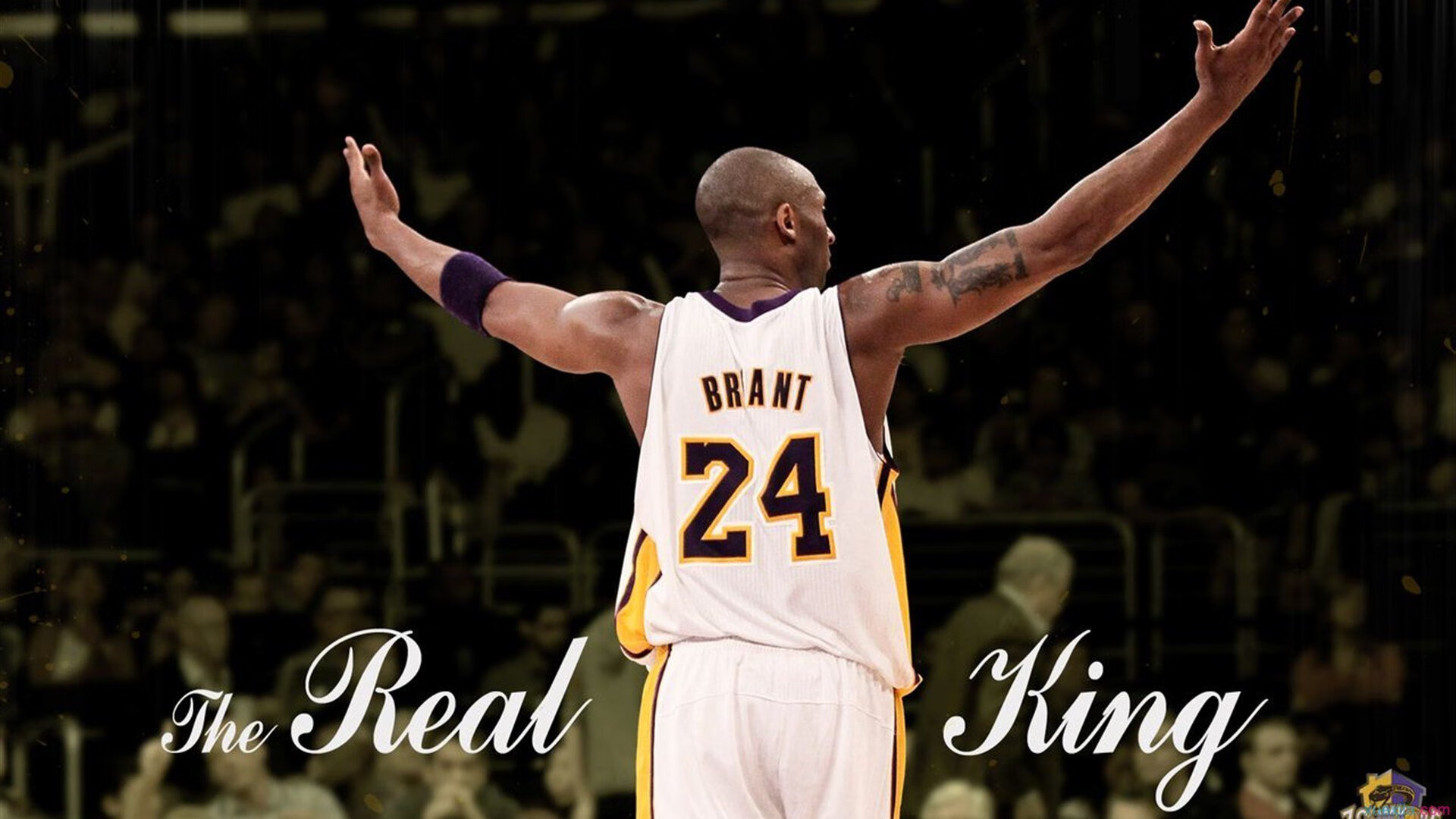 世界排名争夺战之夜,布克带动全队节奏,太阳照亮联盟格局