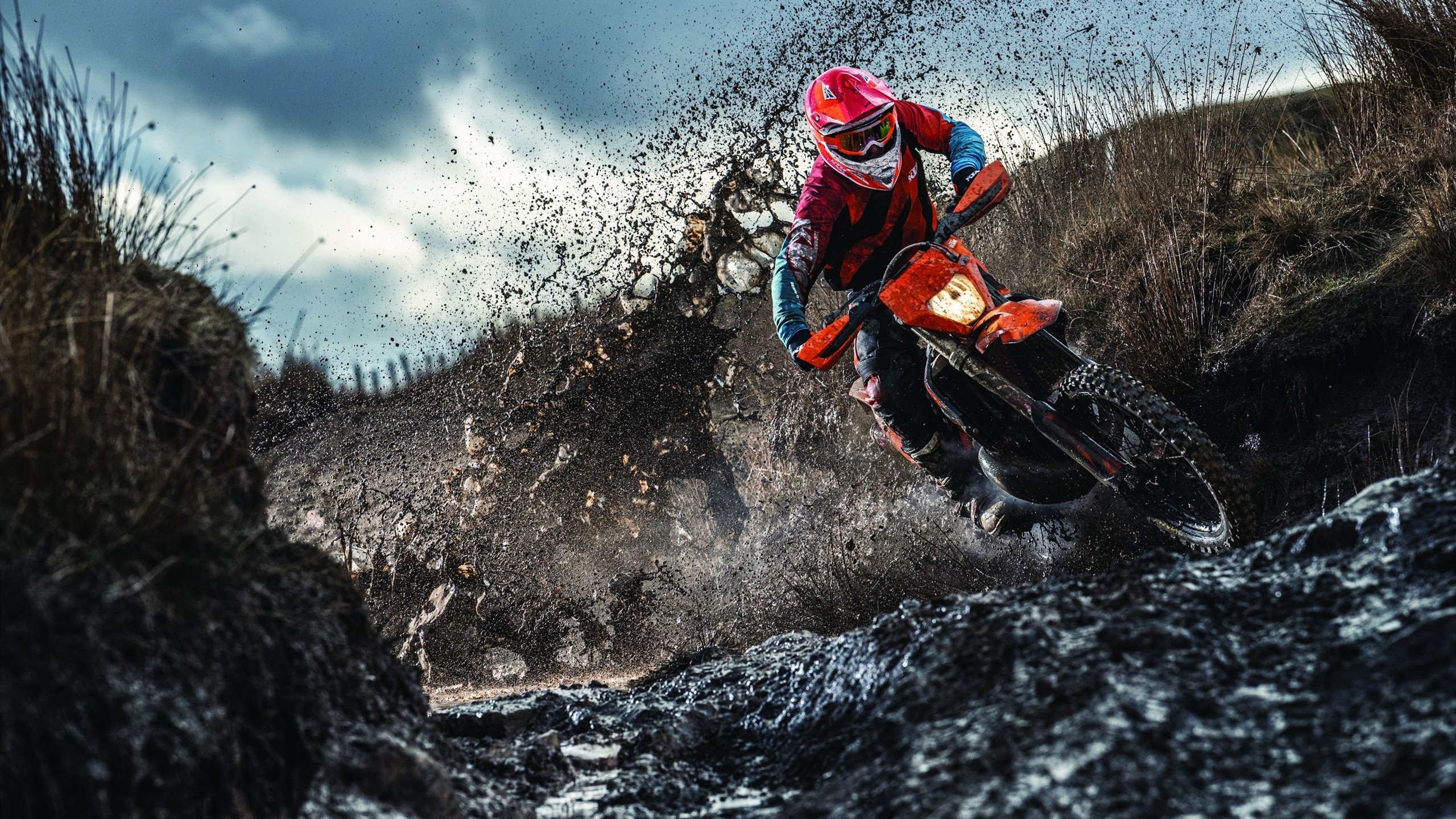 世界杯之夜，浓眉的独舞，2026年个人能力完全展现